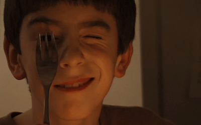 Ross McElwee Documentaries
