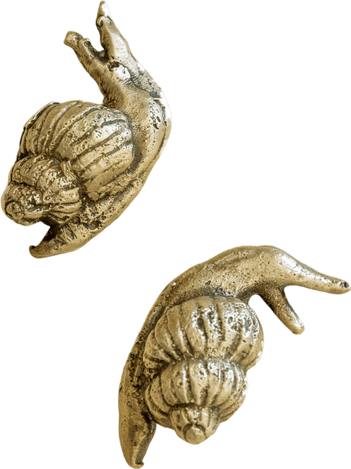 Members-Only Recommendation