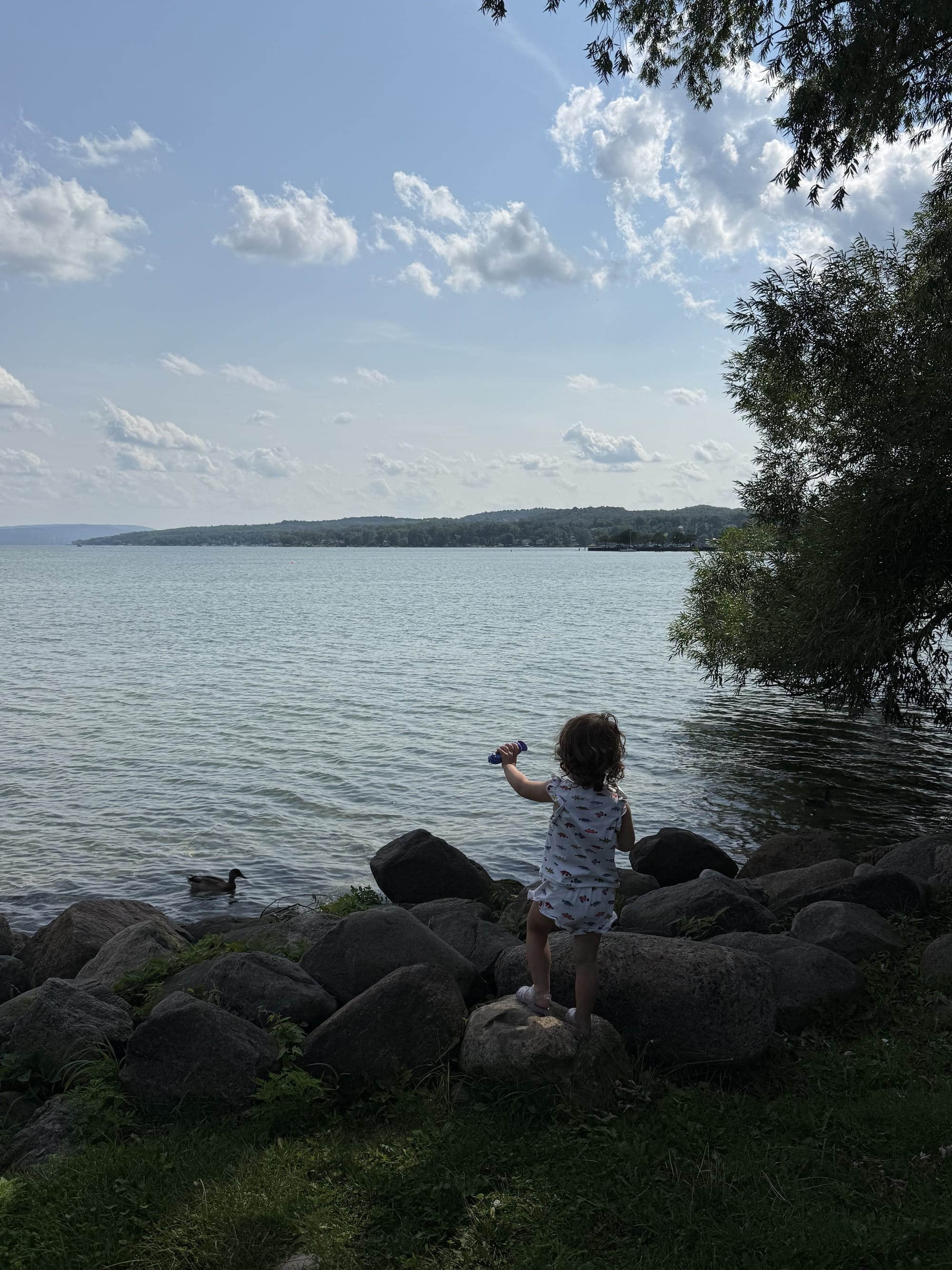Finger Lakes