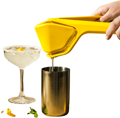 Flat-fold Juicer