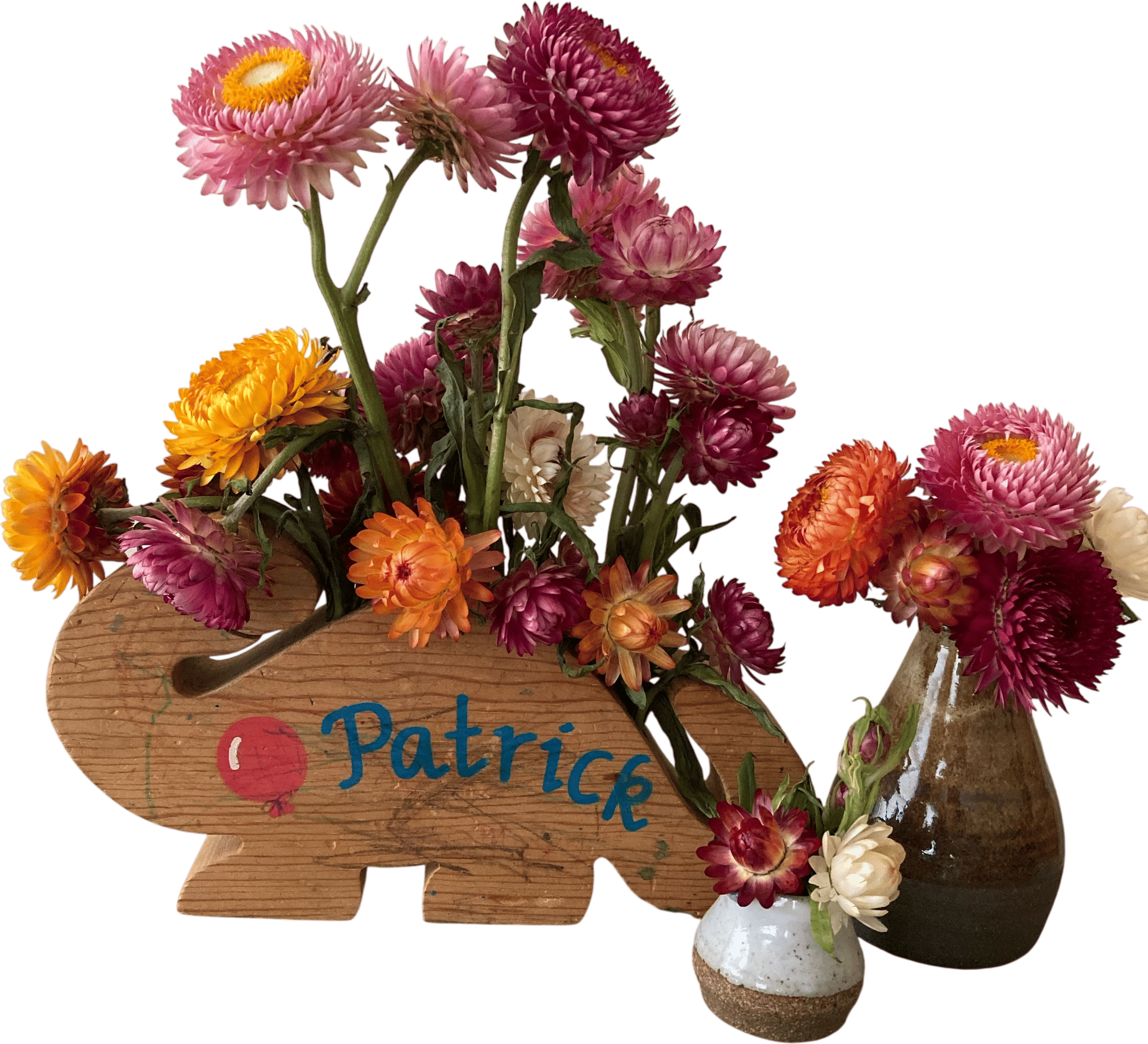 Straw Flowers