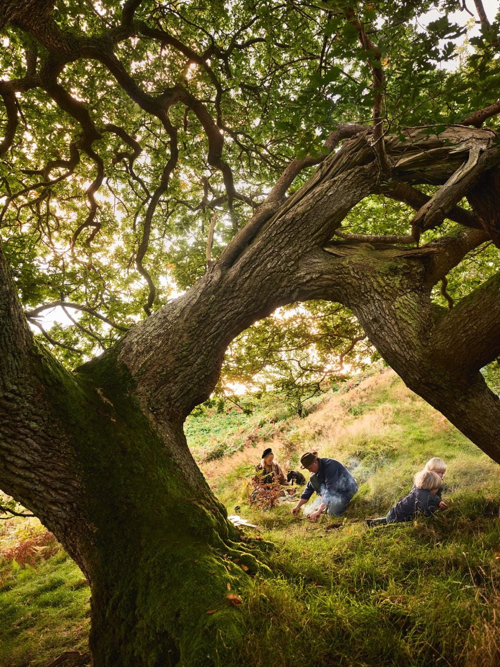 Rollo Dunford Wood and Freyja Lee's Welsh Home