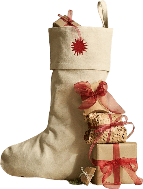 Holiday Mystery Stocking