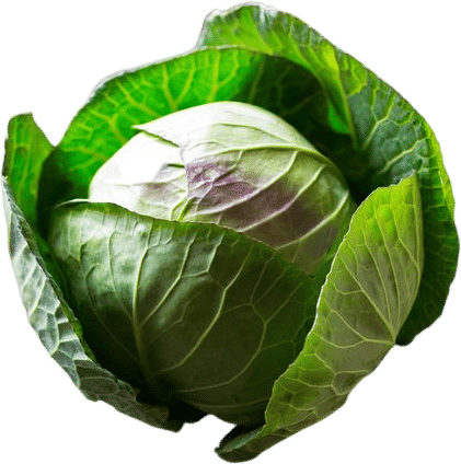 The best cabbage curry