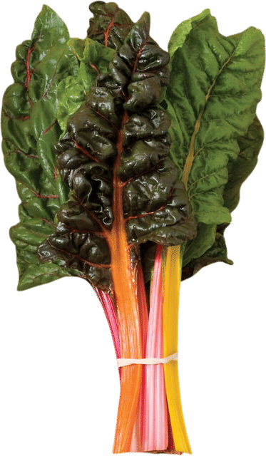Bright Lights Swiss Chard Seeds