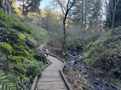 Tilden Botanic Garden