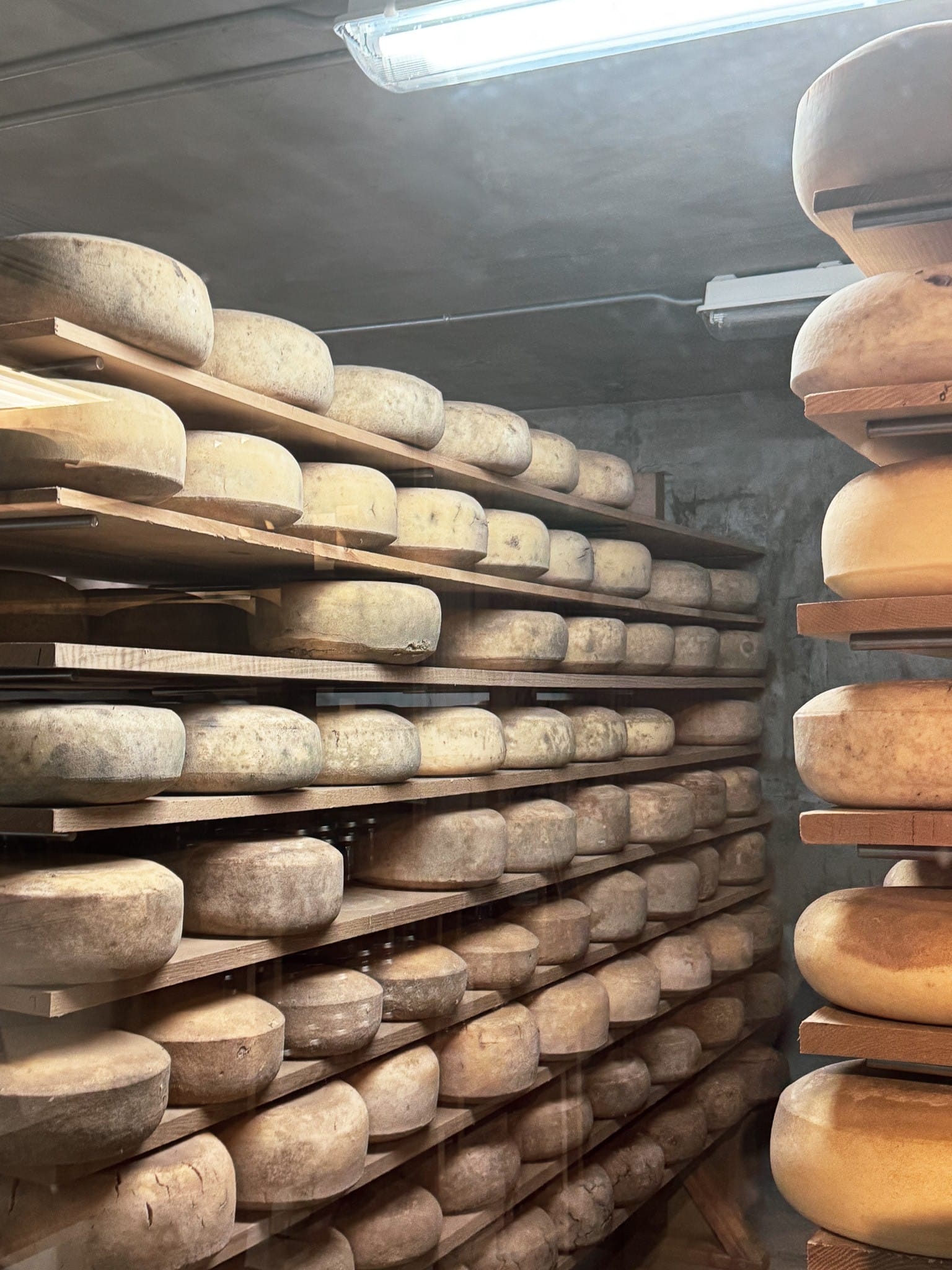 Mecox Bay Dairy Farm Store