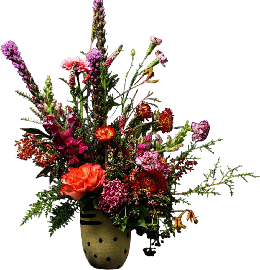 Bed-Stuy Collection: The Marcy