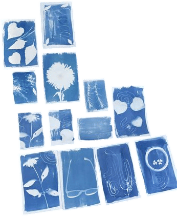 Cyanotype