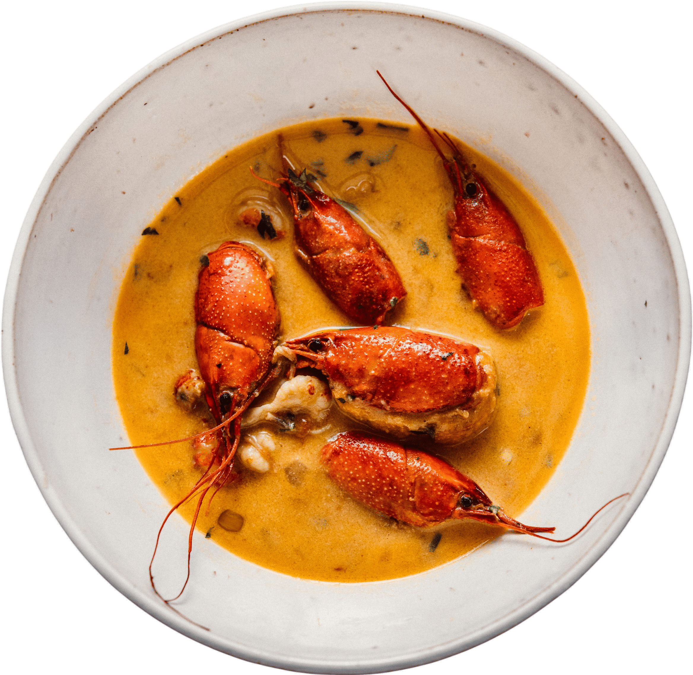 Mosquito Supper Club