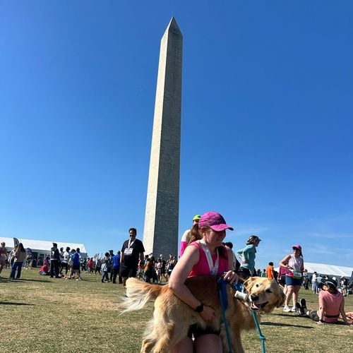 DC essentials