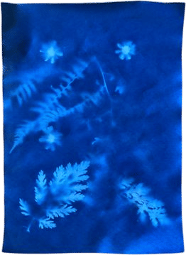 sunprints