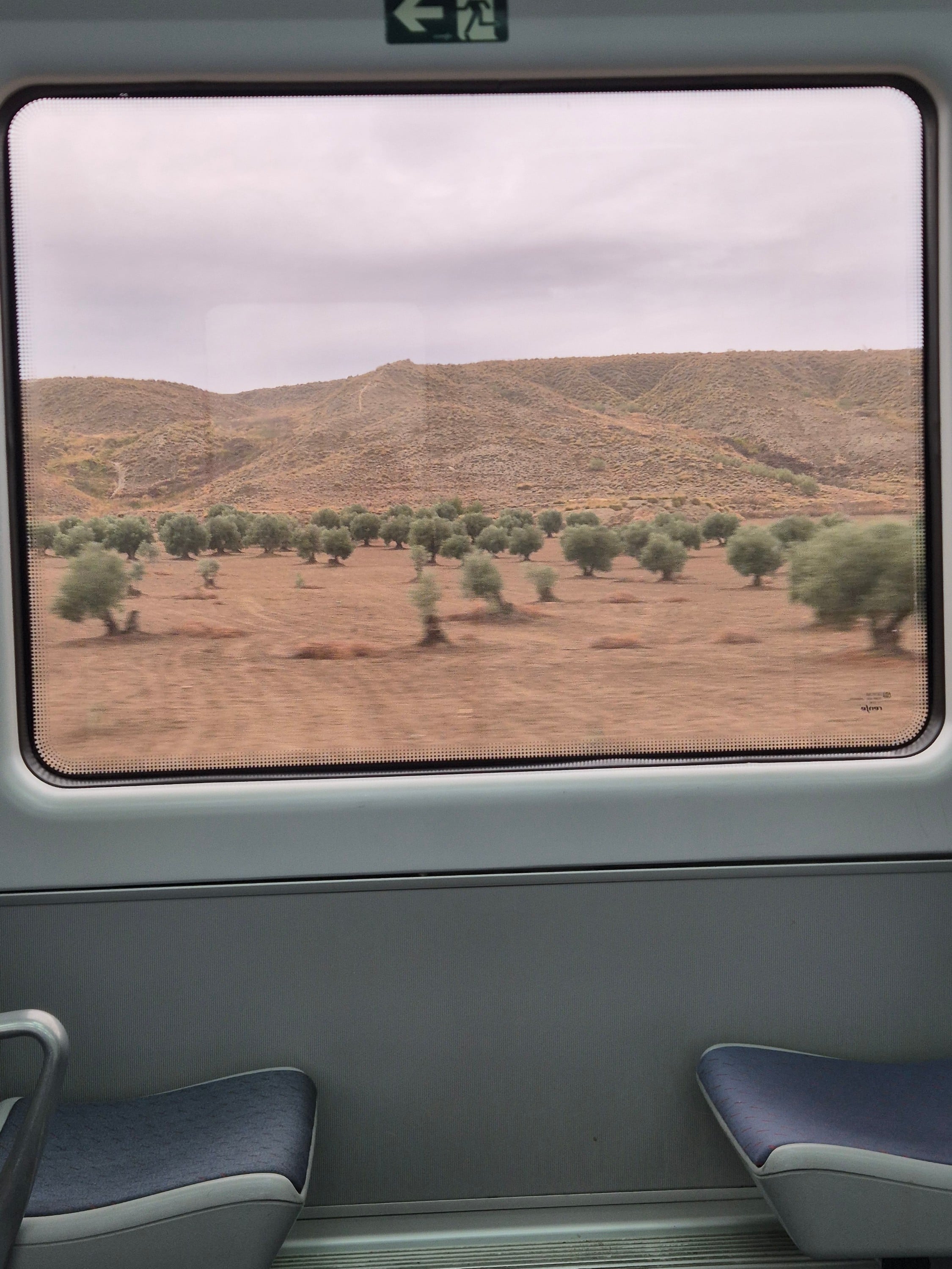 Viajes bonikos
