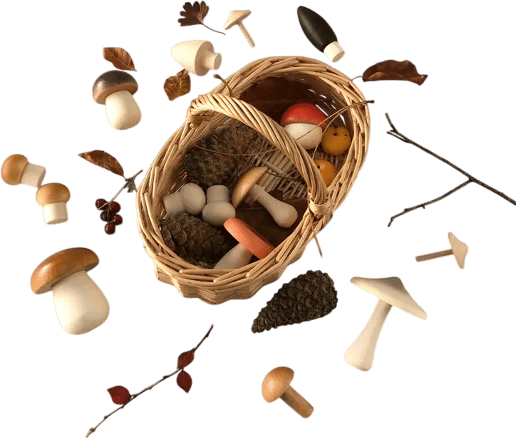 Forest mushrooms in a basket by Moon Picnic
