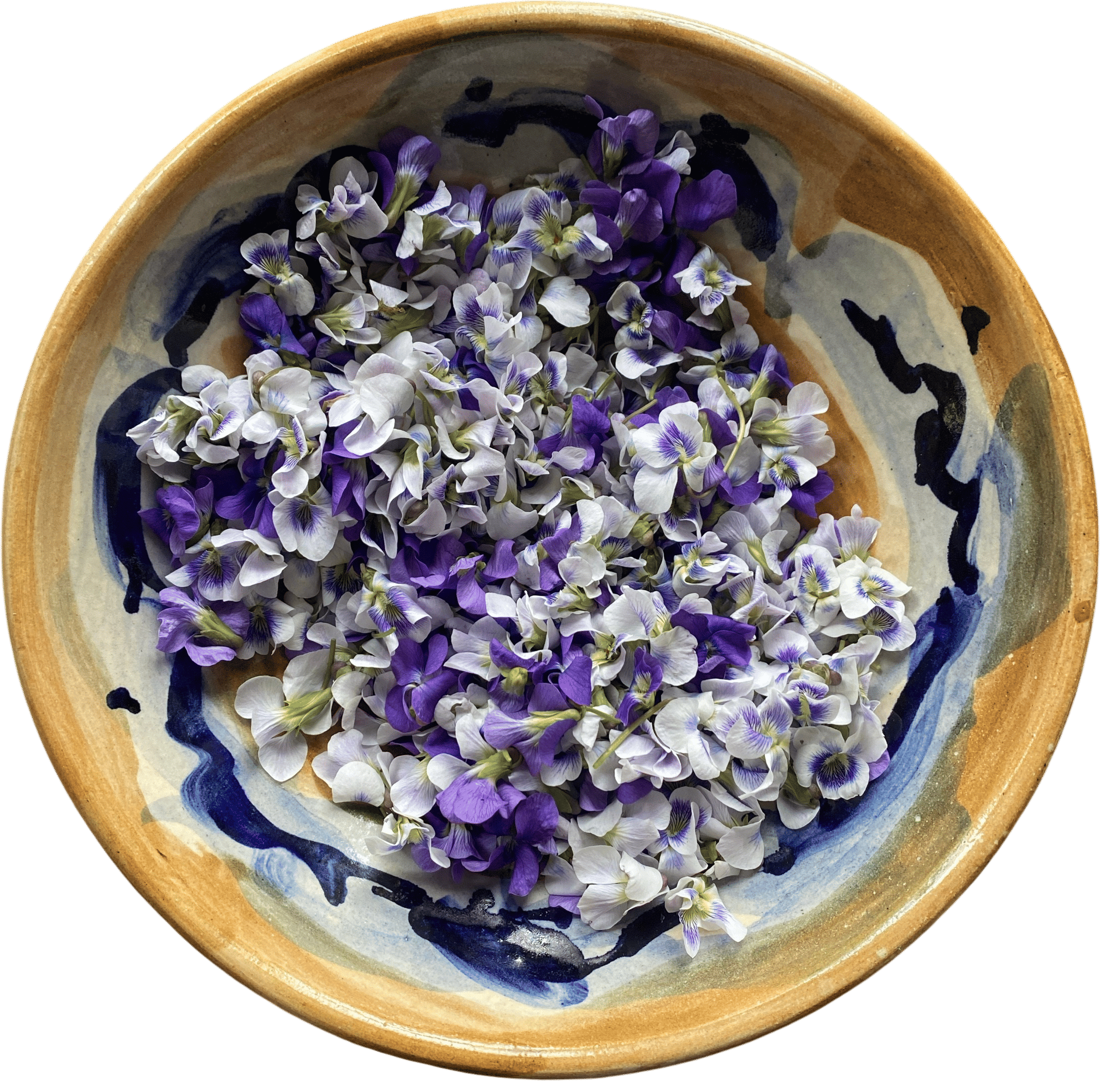 Touching the herbs with your hands