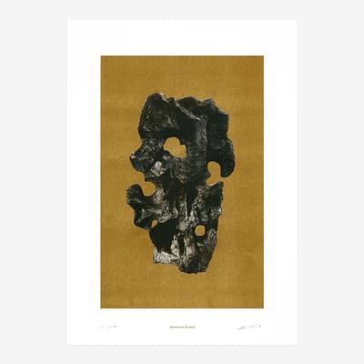 Viewing Stone N° 1 Risography Art Print