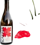 Plan Your Trip to Playa del Carmen