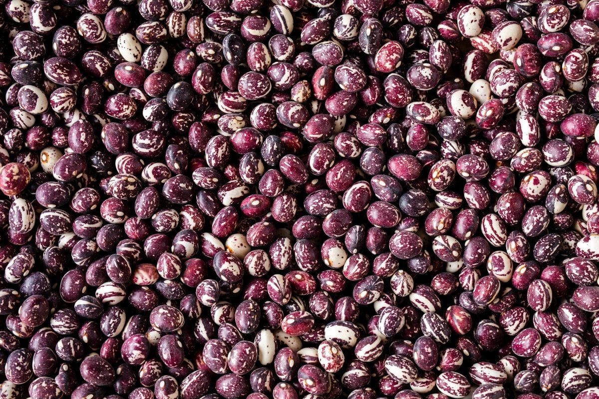 Good Mother Stallard Beans (Rancho Gordo)