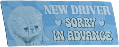 In My Driving Teacher Era Kitten Bumper Sticker
