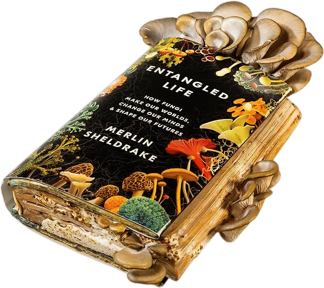 Entangled (Merlin Sheldrake)