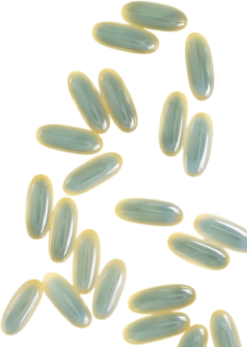 Nordic Naturals Omega-3 Supplements