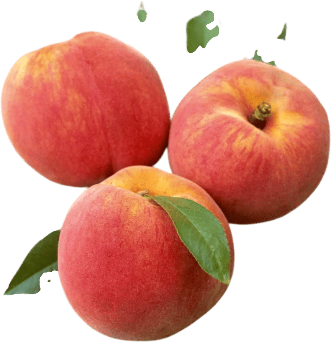 Eating a peach over the sink in summer