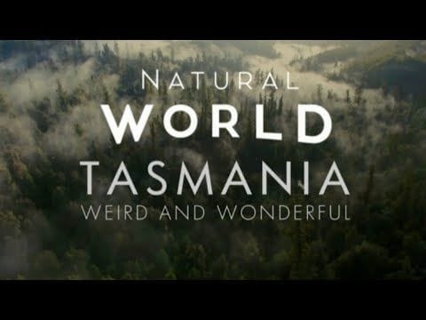 Tasmania: Weird and Wonderful