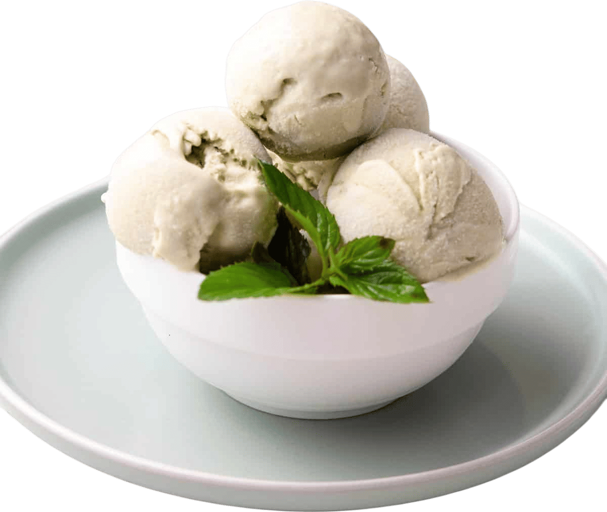 Vegan Mint Ice Cream
