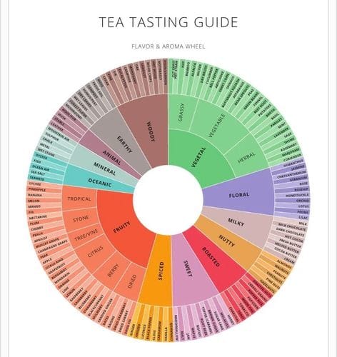 Tea Tasting Guide