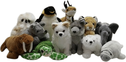 the wildlife trust