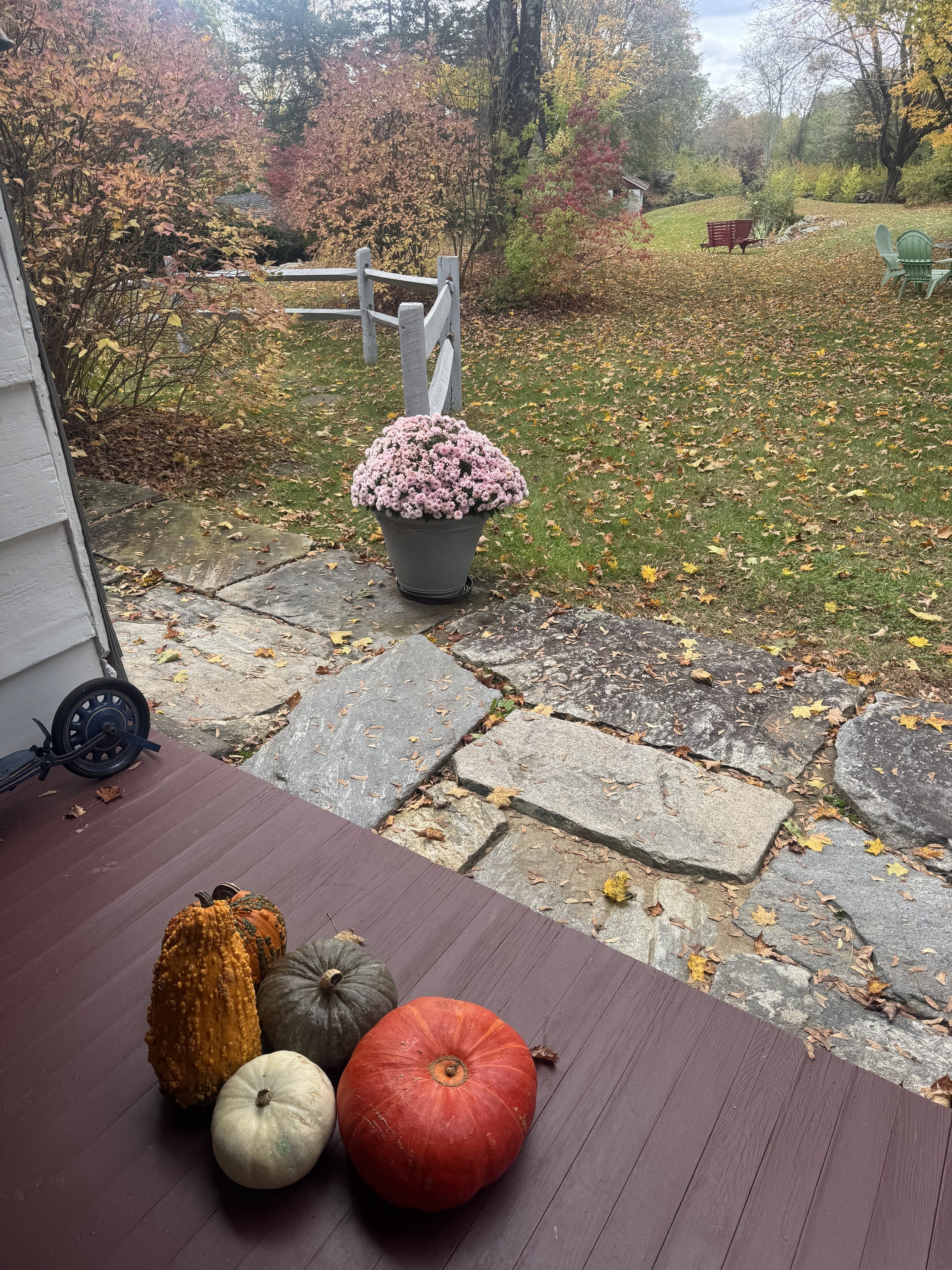 The First little hint of a Fall crisp in the air