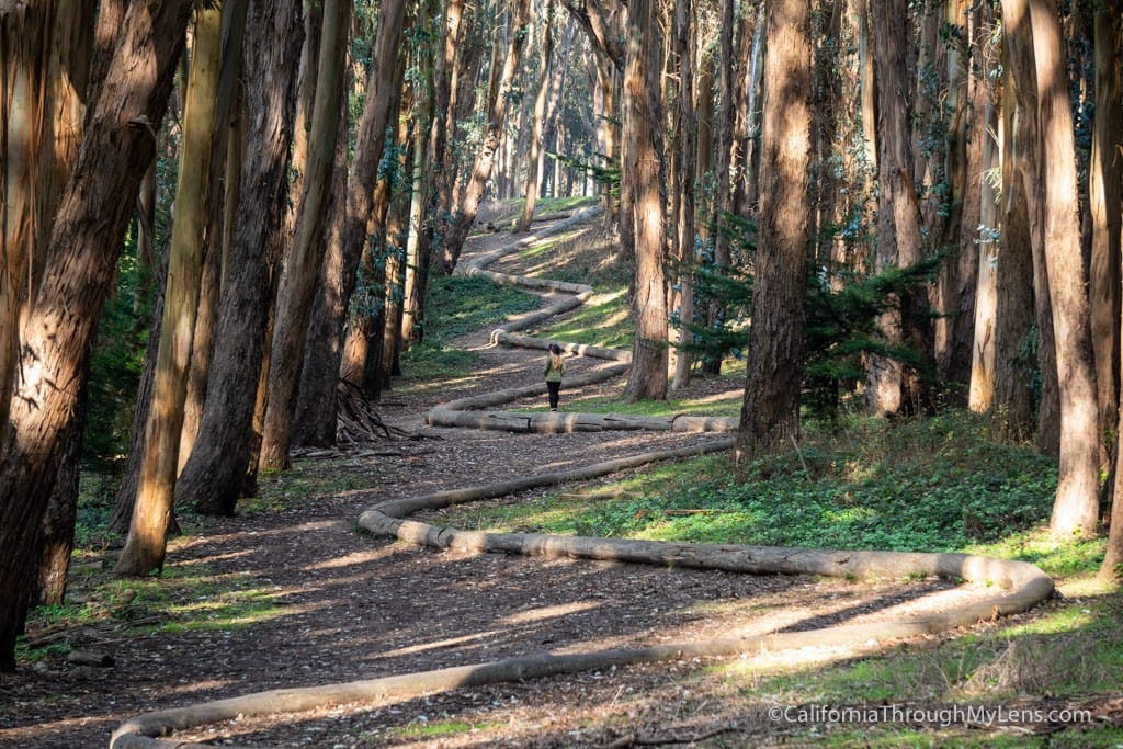 Walking through the Presidio, San Francisco