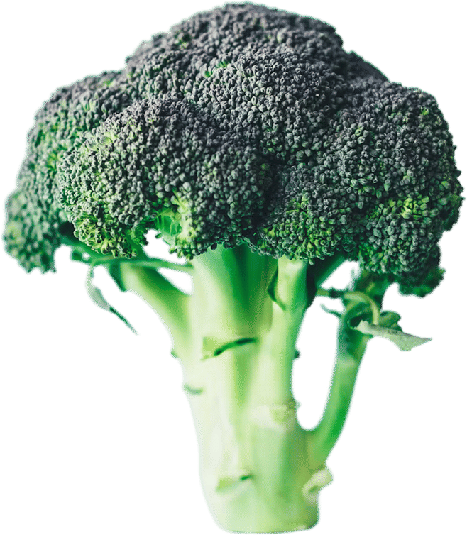 raw broccoli