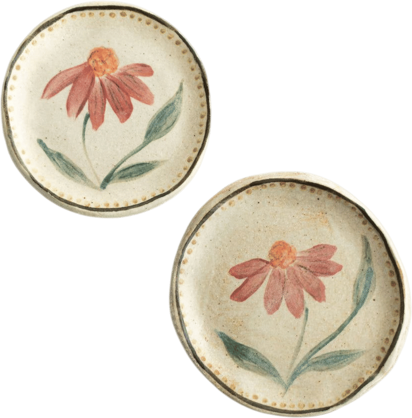 Mini Echinacea Dish (Rachel Pally)