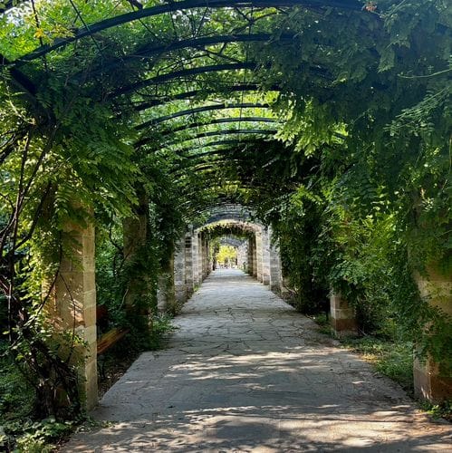 Favorite Walks In Athens