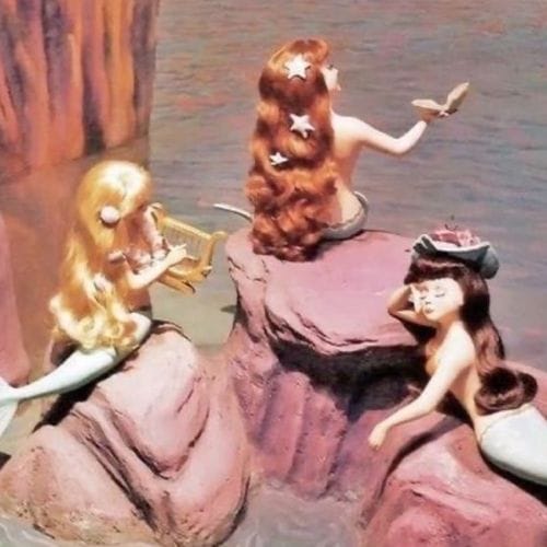 a collection of whimsy