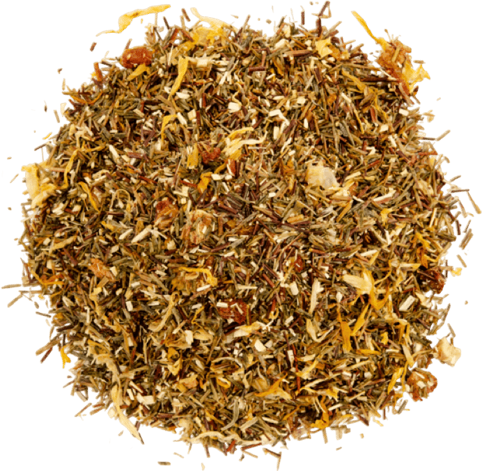 Green Rooibos Bonita