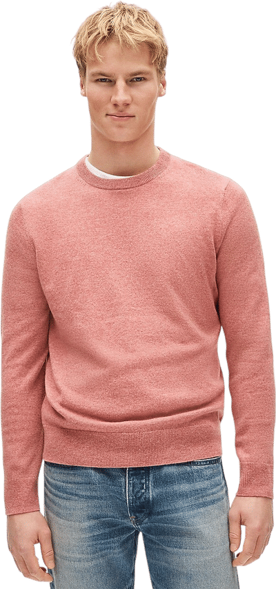 Everyday Cashmere Crewneck Sweater