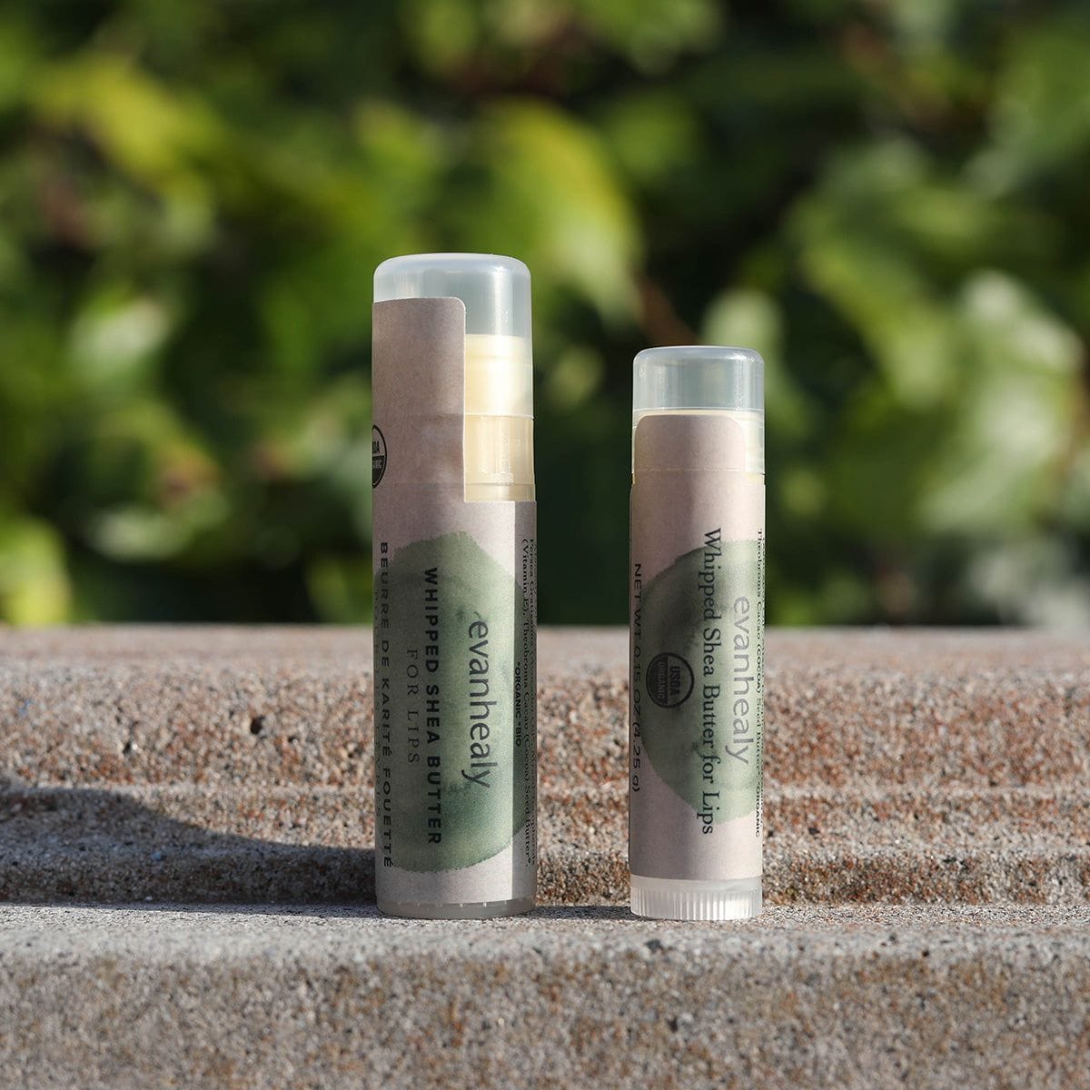 Organic Shea Butter Lip Balm (evanhealy)