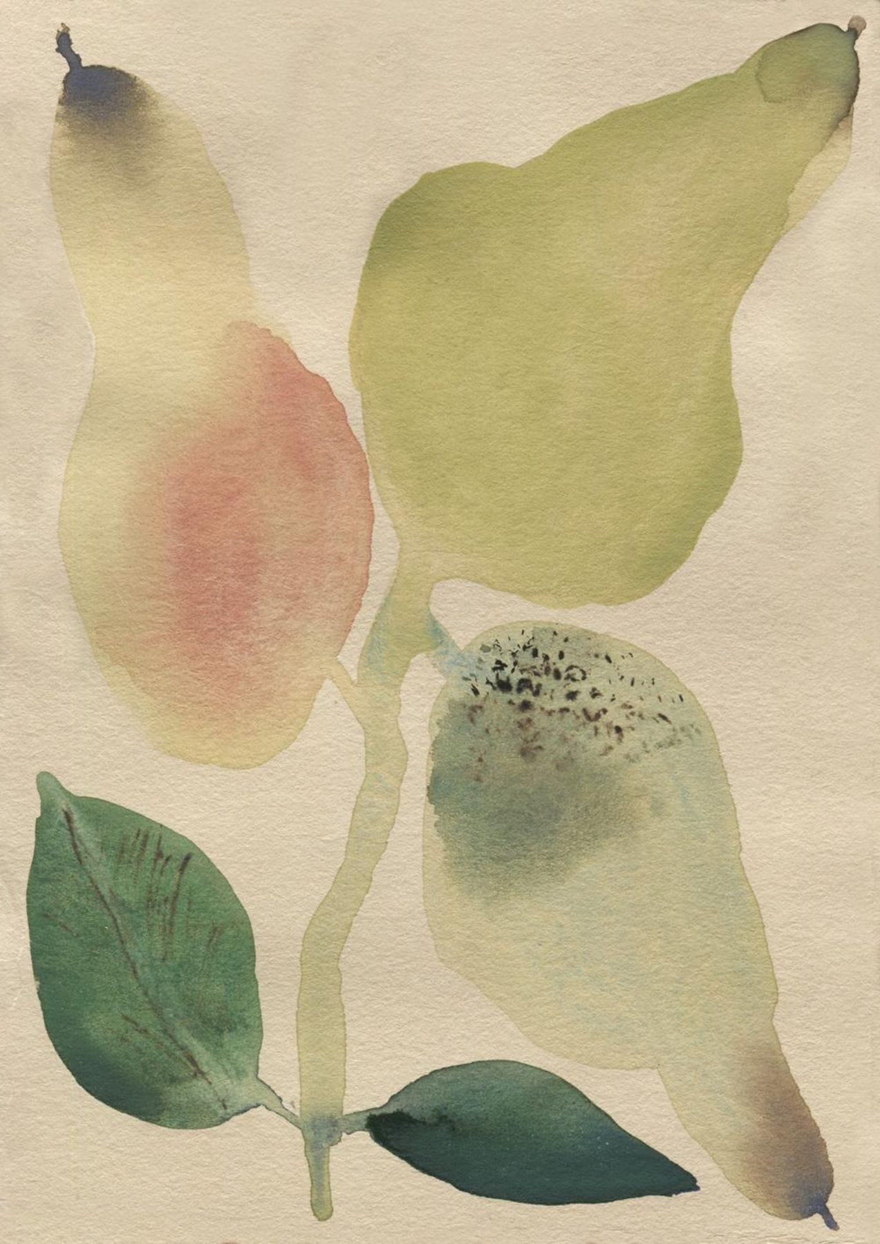 Pear Drop