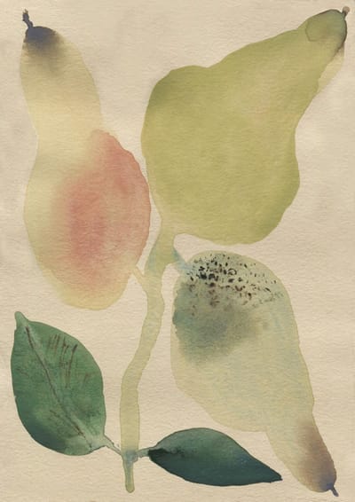 Pear Drop Art Print by Louisa Cannell