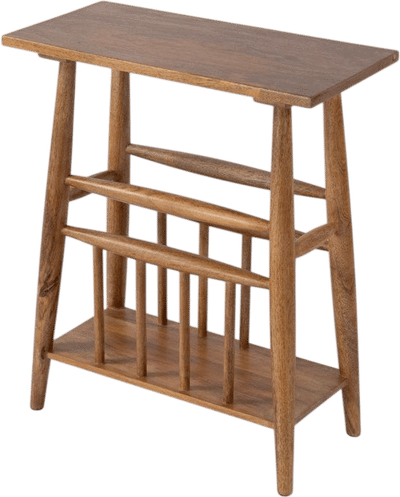 Carlotta Magazine Side Table