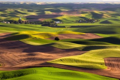 The Palouse