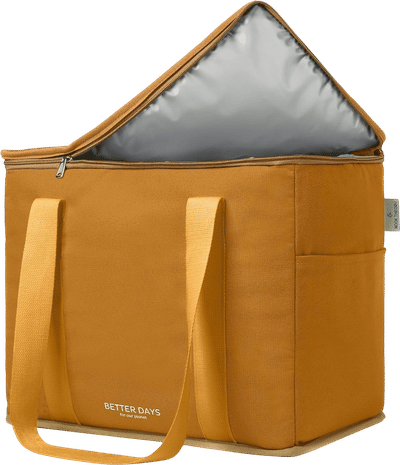 Reusable Insulated Grocery Bag