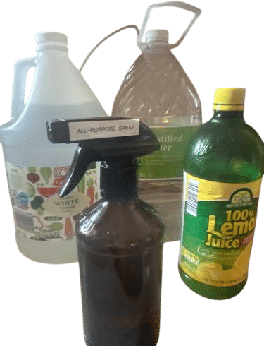 All-purpose spray made with distilled water, vinegar, and lemon (can be essential oil or lemon juice).
