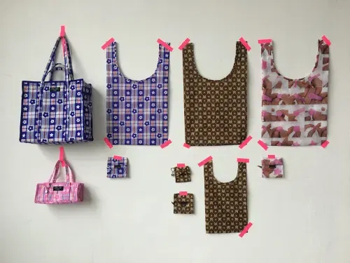 sandy liang x baggu 2.0