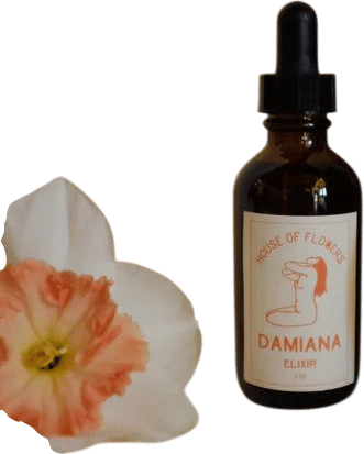 Damiana Elixir