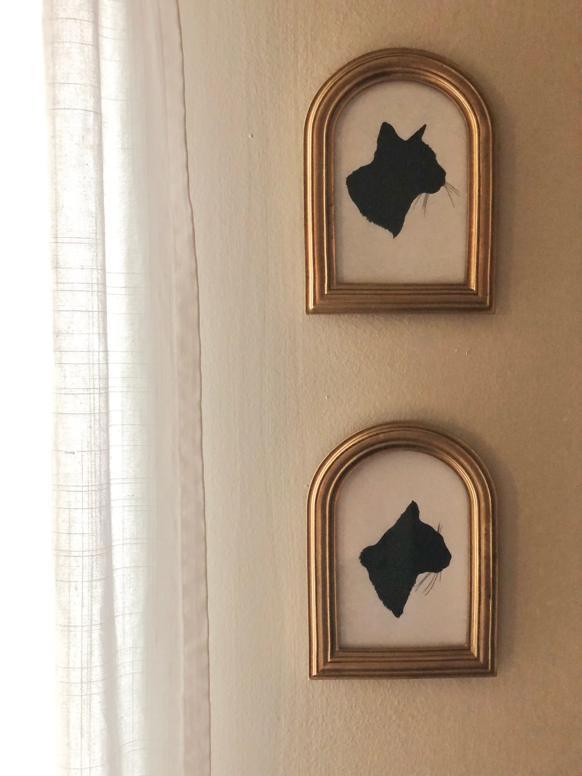 Silhouettes of my cats