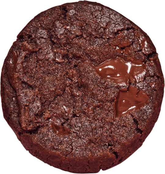 the best chocolate, chocolate chip cookie (dorie greenspan's world peace cookies)