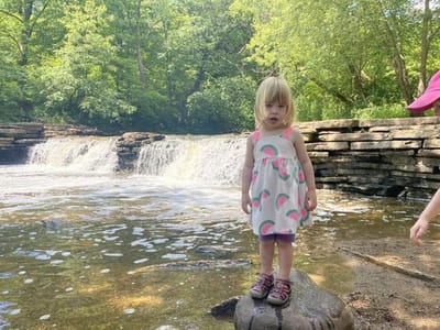 Waterfall Glen Forest Preserve